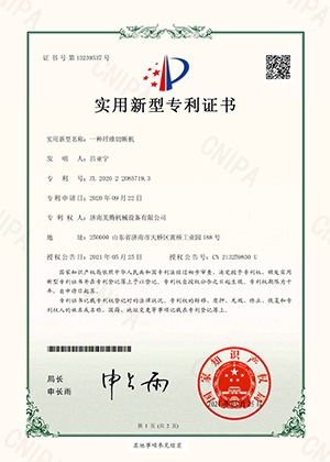 SD202-WC1096GX 专利证书